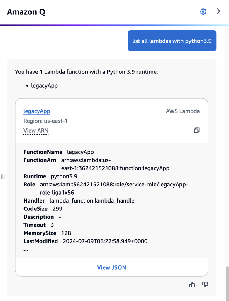 Amazon Q Developer chat screenshot with the question: “list all lambdas with python3.9” showing that there is only one AWS Lambda with Python 3.9 runtime